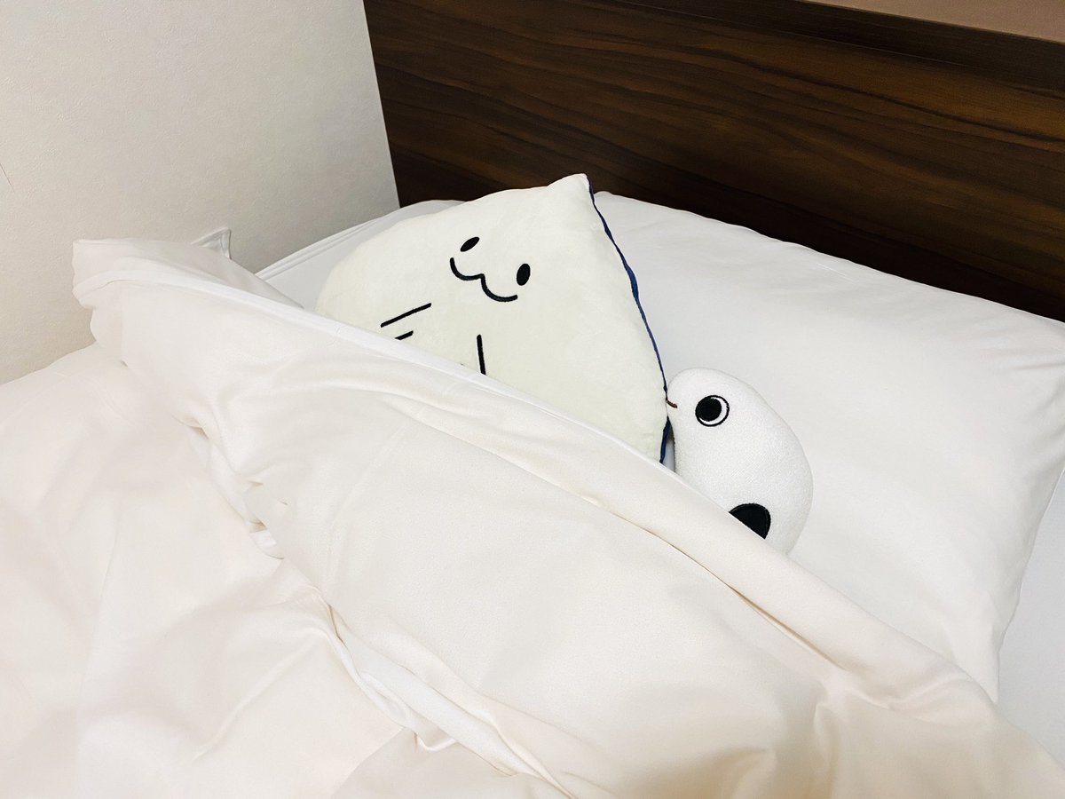 先日、昨年開館した四国水族館にようやく訪問できたんですが、公式ショップで売ってた新発売の「エイくん座布団」がメタくそ可愛くて、四国から帰って以来毎日抱っこして寝てる