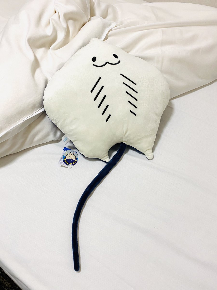 先日、昨年開館した四国水族館にようやく訪問できたんですが、公式ショップで売ってた新発売の「エイくん座布団」がメタくそ可愛くて、四国から帰って以来毎日抱っこして寝てる