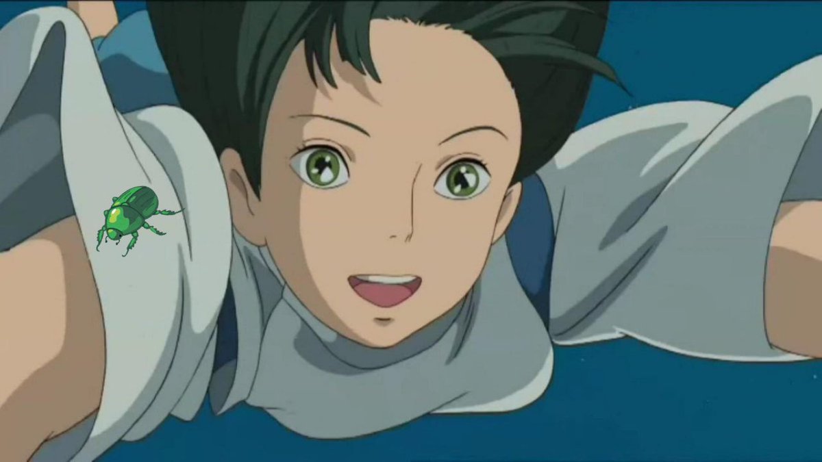 ミギカタニコガネムシ 