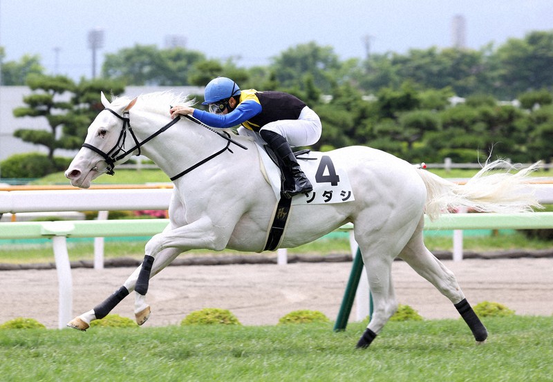  昔は白毛馬がレースに勝つだけでも騒がれていたのにソダシは無敗でG1勝利という成績を残しております