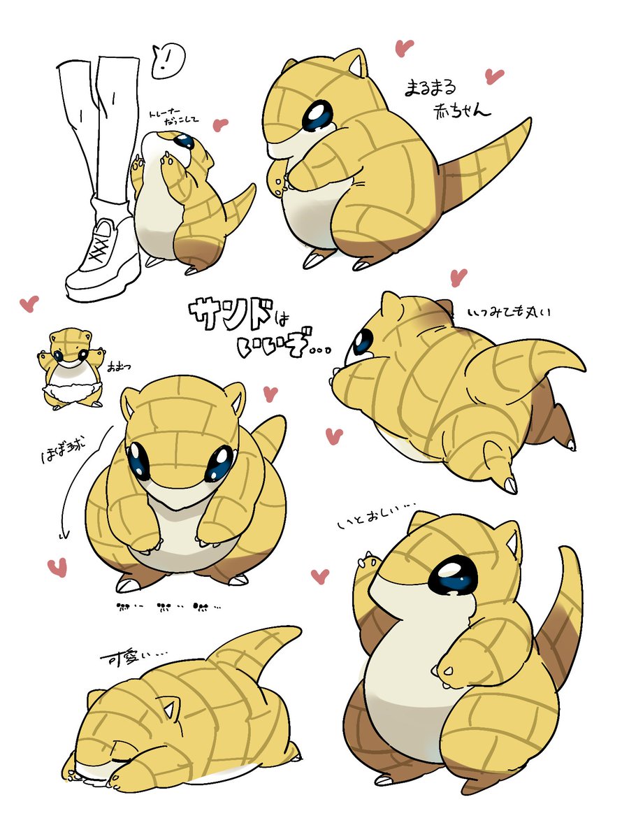 サンドがこんなに可愛いと誰も教えてくれなかったが 