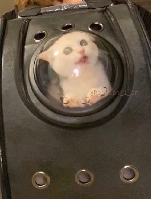 ←2020年1月　　　　2021年1月→ 