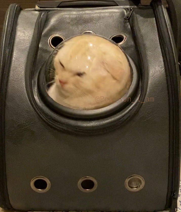 ←2020年1月　　　　2021年1月→ 