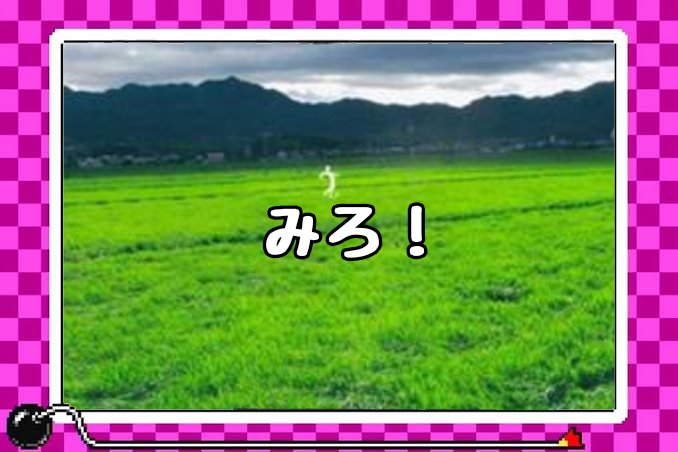 殺意が異様に高いメイドインワリオ 