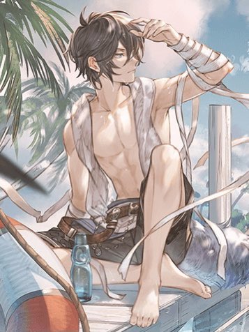 男の露出に需要を見出したグラブル強すぎ 