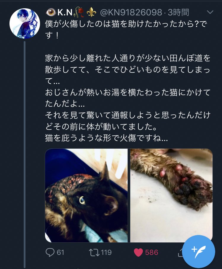 令和最初の勇者現る 大まかに説明すると虐待を受けていた猫を助けた