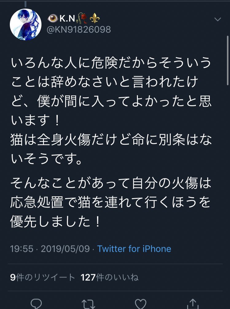 令和最初の勇者現る 大まかに説明すると虐待を受けていた猫を助けた
