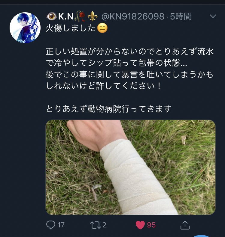 令和最初の勇者現る 大まかに説明すると虐待を受けていた猫を助けた