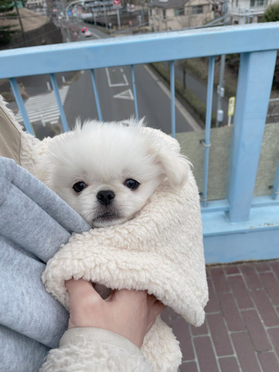 外がまだ怖い赤ちゃん 