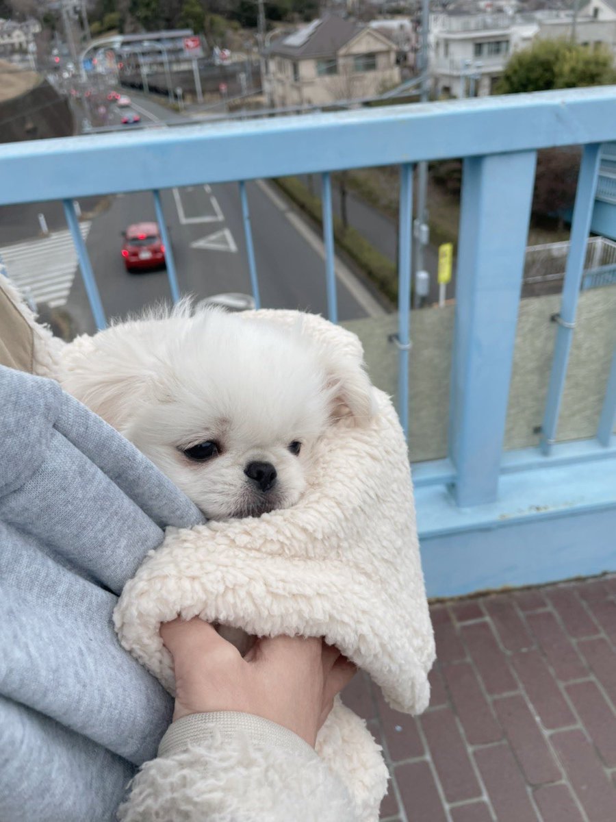 外がまだ怖い赤ちゃん 