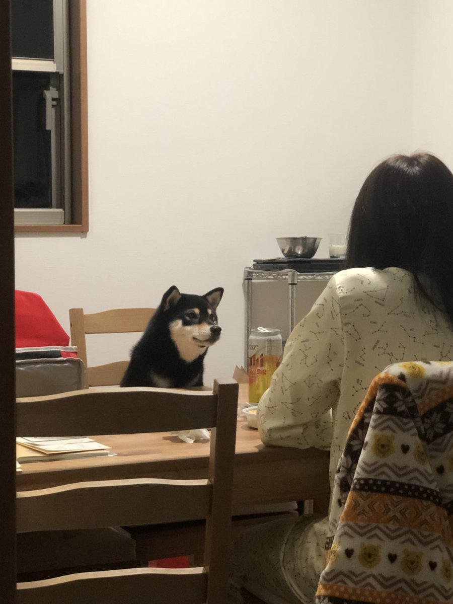 悩みを聞いてもらいました。 