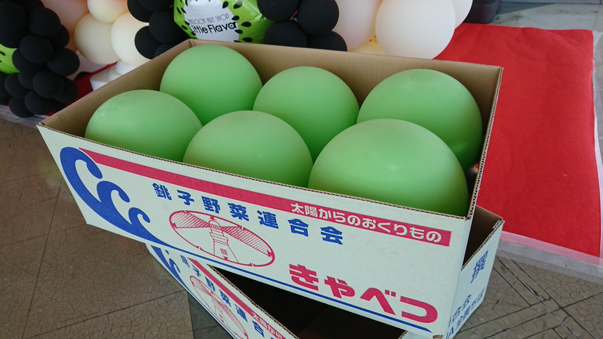 まん丸のキャベツ、実在していたのか……っ！ 