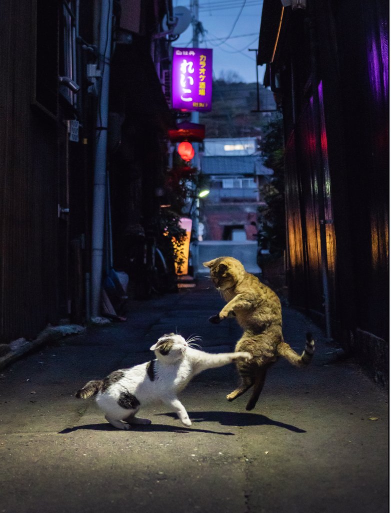 夜間撮影に、Nikonのカメラは頼もしい相棒です.  #頑張れNikon 