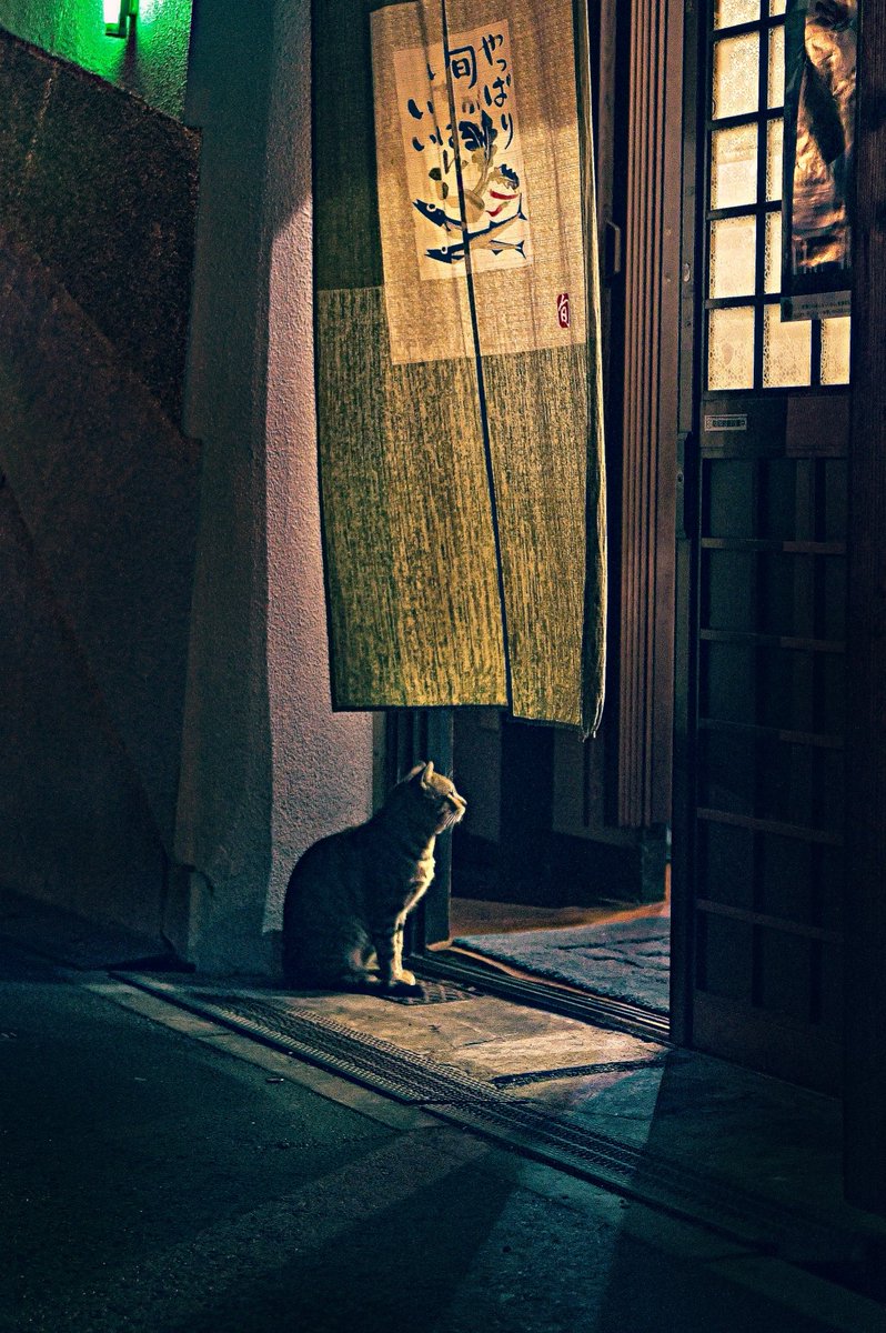 夜間撮影に、Nikonのカメラは頼もしい相棒です.  #頑張れNikon 