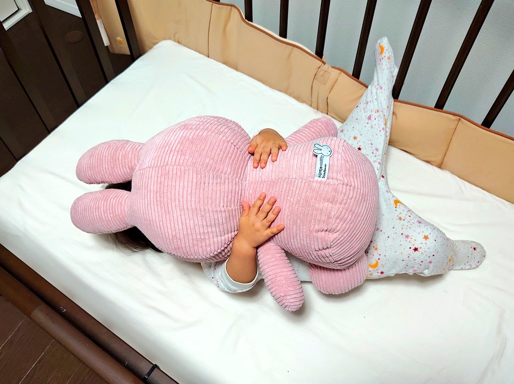 最近の娘の入眠スタイルが個人的にぜひ好きなので見て欲しい。。。 