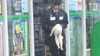 ねこです よろしくおねがいします あっだめですか 