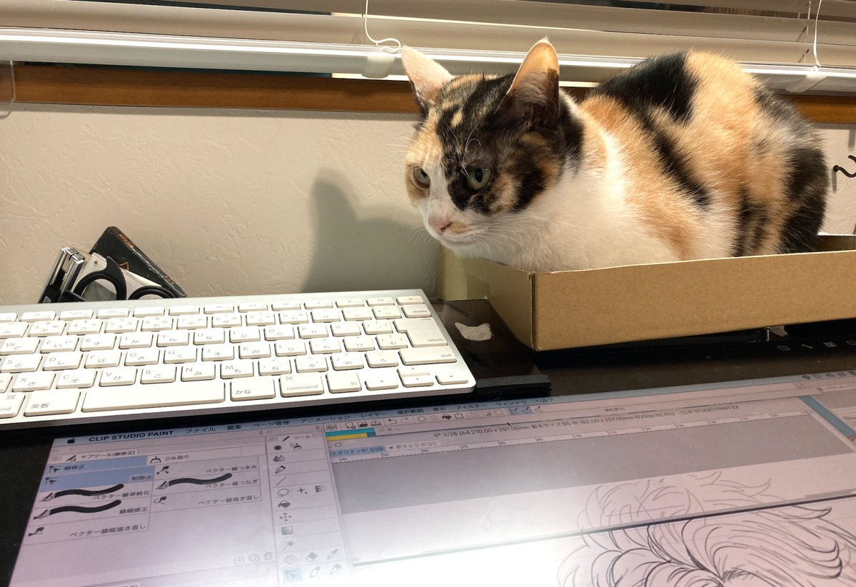 あまりにもピノが画面の上に乗るもんだから箱を設置したんですよね