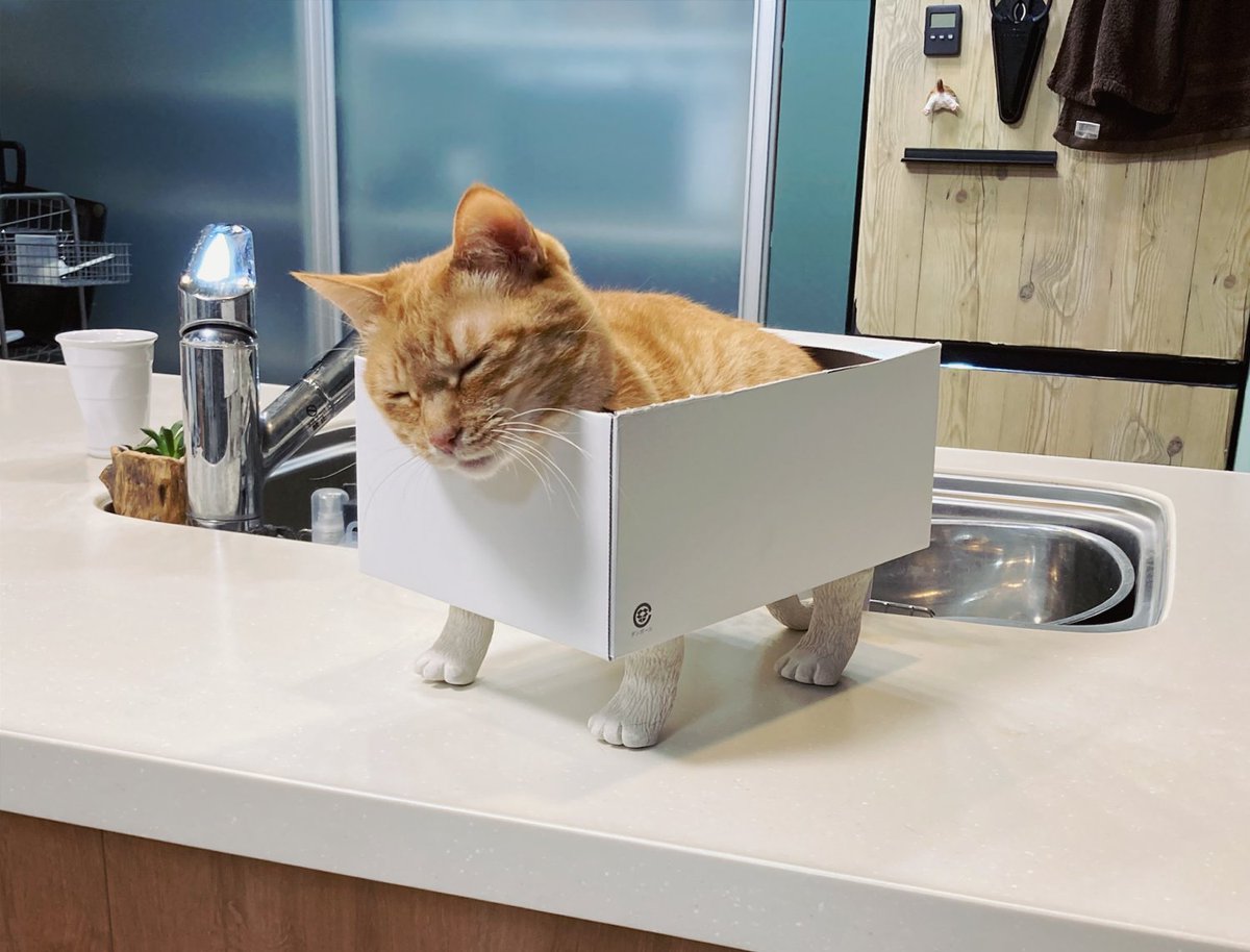 ついでに段ボールとか底が平らなものに付けれるタイプも作ったのですがwwwwもうwwwwしかもこんな飼い主騒いでるのに寝るんかい 