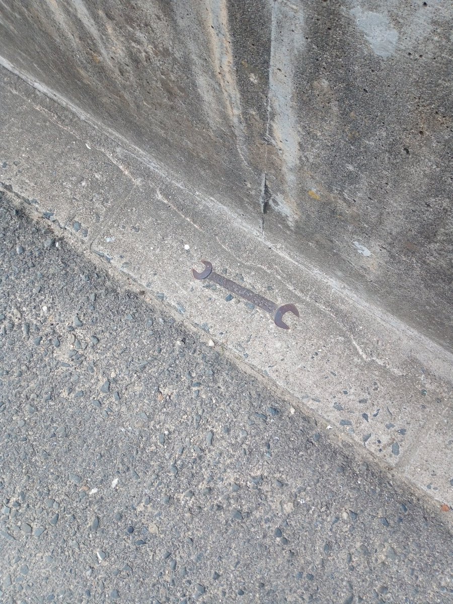 そういえば今日道歩いてて見つけたんやけどスパナの化石ってもしかして世界初では