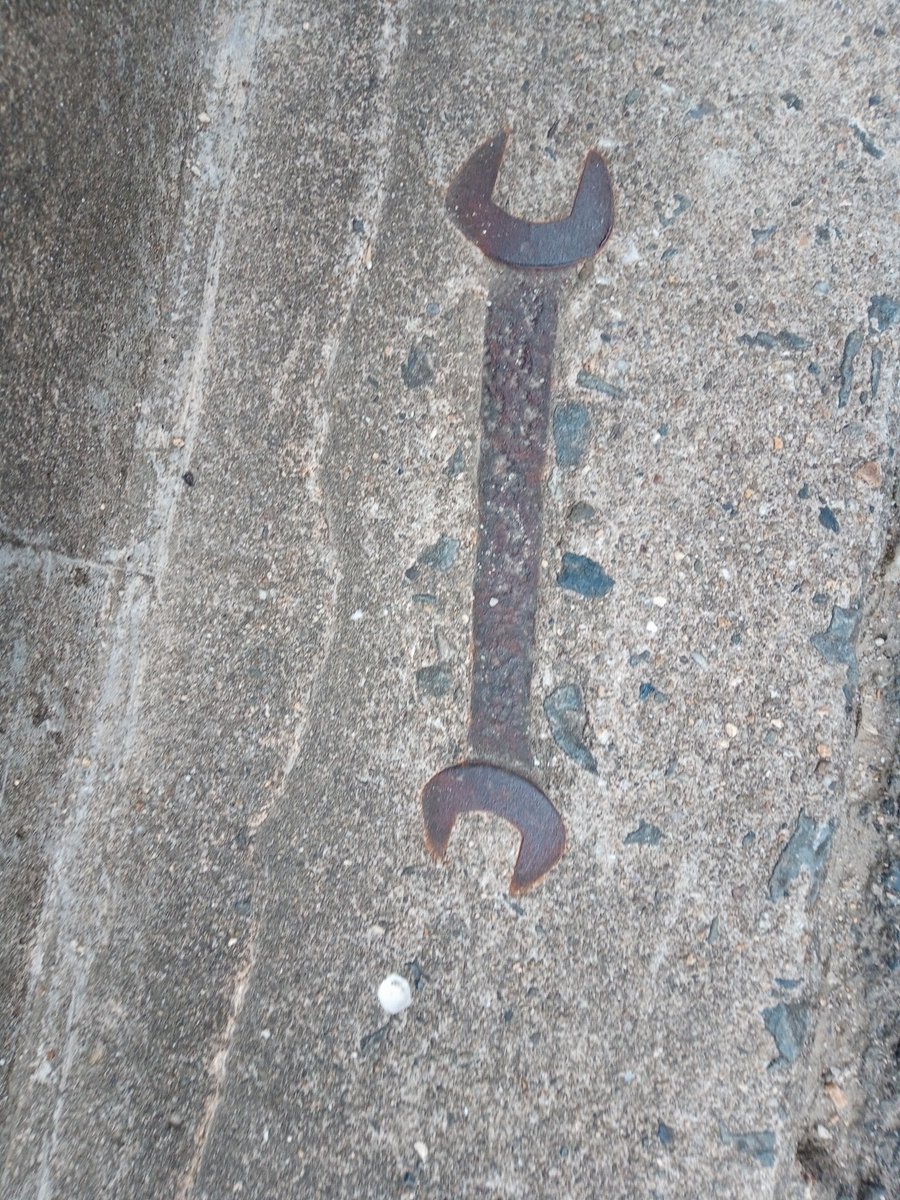 そういえば今日道歩いてて見つけたんやけどスパナの化石ってもしかして世界初では