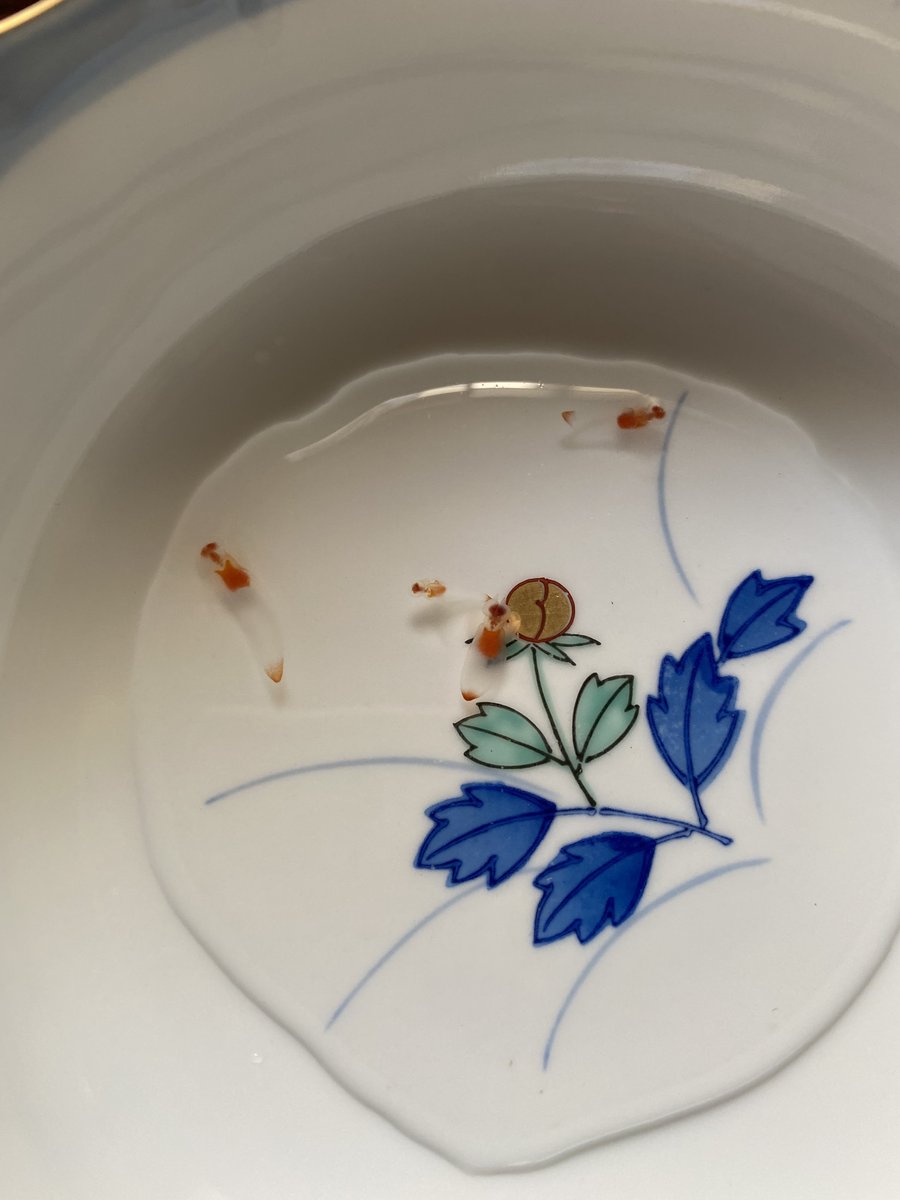 スーパーの鮮魚コーナーでクリオネが売ってたので強烈な好奇心に突き動かされ食べてみた 食べる前に観察をと思って小一時間眺めたり撮影したりしてたら、あまりの愛らしさに冷蔵庫の中で餓死するまで飼いたい誘惑に駆られたけど 食レポは、ああ委員長が言ってたガソリンの味がするって本当だったんだ… 