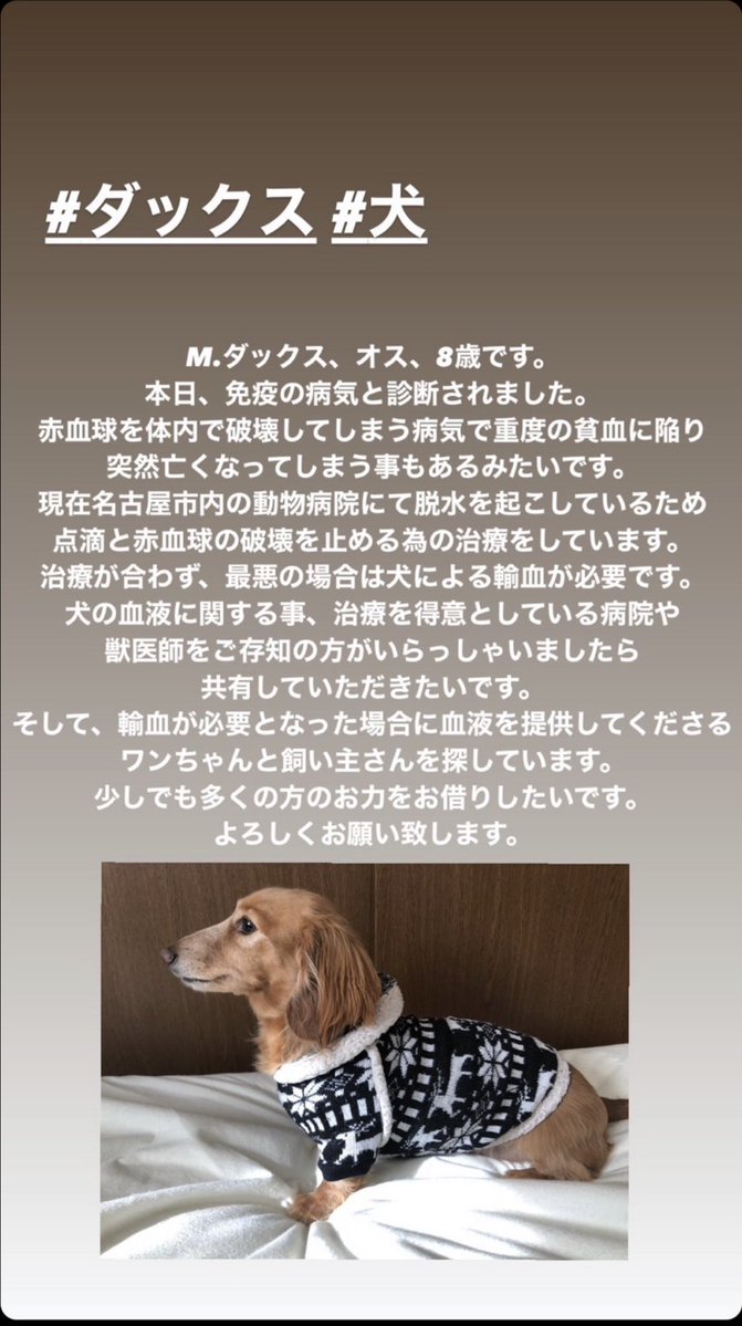 助けて欲しいです。 拡散して頂けると助かります。 お願いします。 