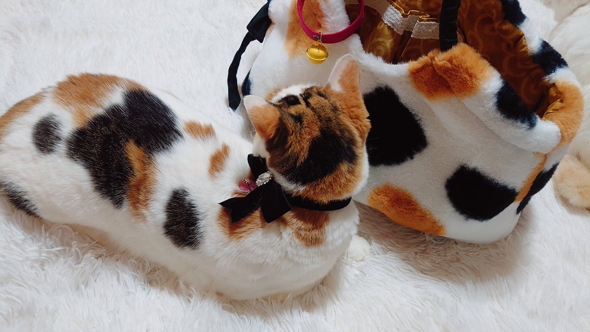 一目惚れしたバッグがさっき届いた♡*。 可愛くてたまりません😍 