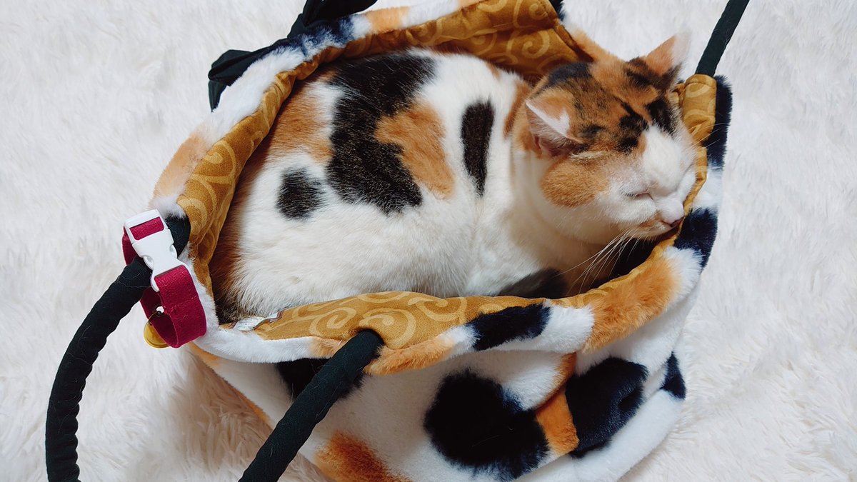 一目惚れしたバッグがさっき届いた♡*。 可愛くてたまりません😍 