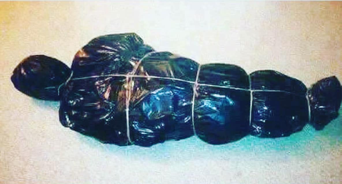  オランダの警察がクリスマスツリーを処分するときは勘違いされないように気をつけようと投稿しています 