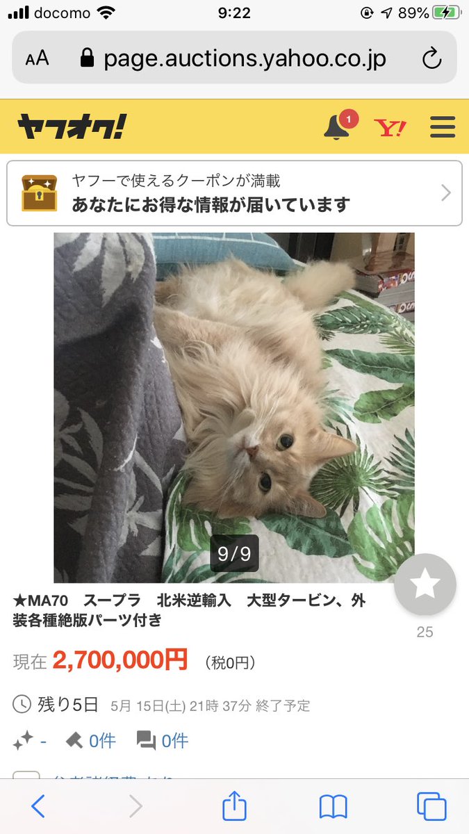 無事オーナーさん見つかって治療できます様に… 