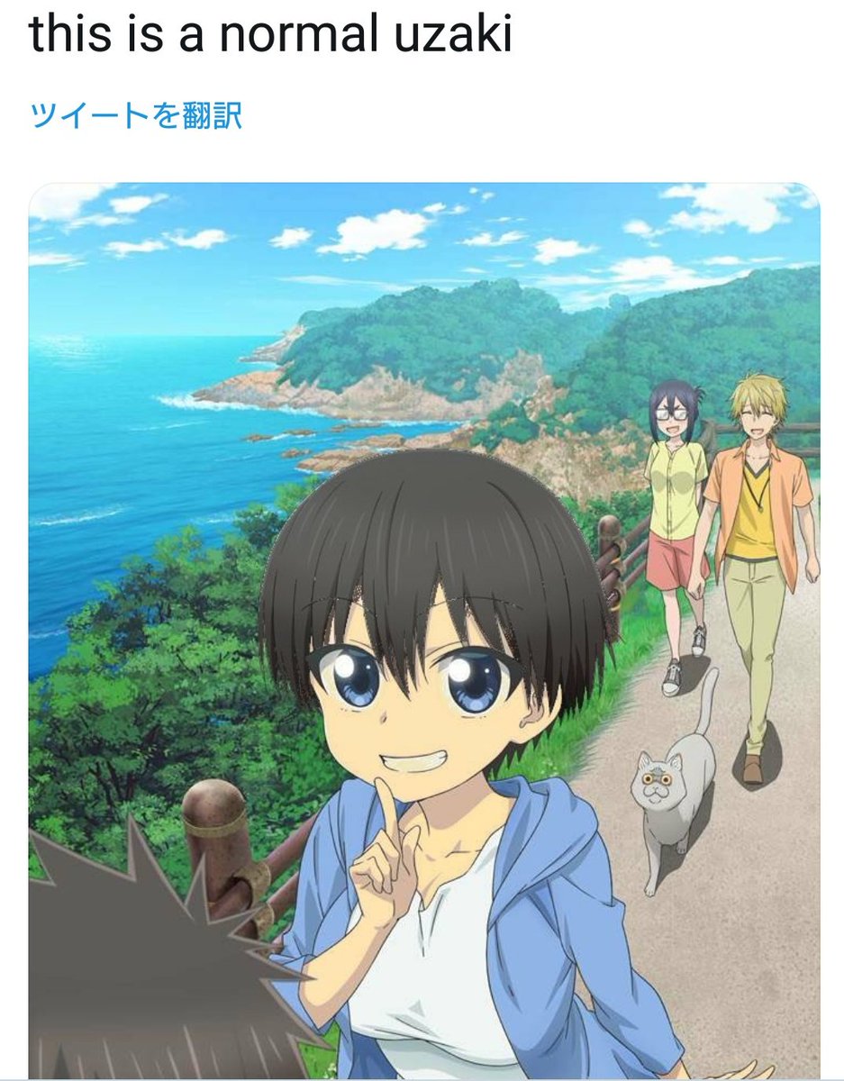宇崎ちゃんについて「正しく描き直した」と言って欧米人基準の体型を描いたり、黄色い肌に黒髪のステレオタイプアジア人を描く外国人がいる一方、「自分も同じような体型だから非現実的じゃない」と主張する外国人も現れ、乱世だ