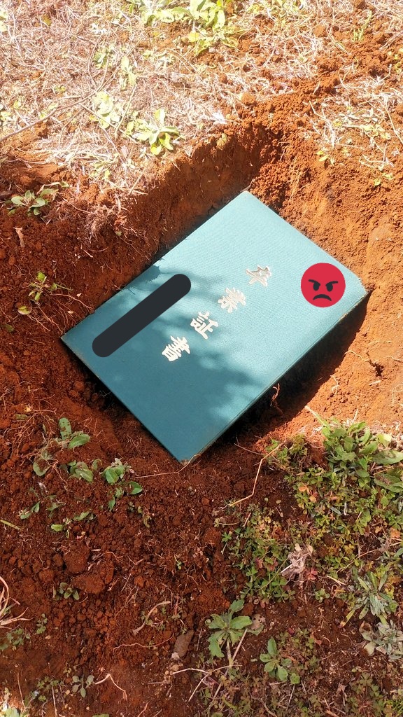 二度と思い出したくないので庭に埋めました。 