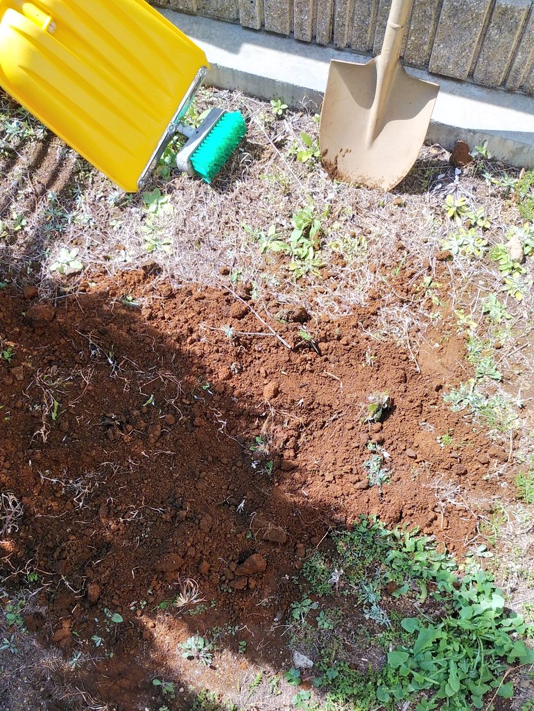 二度と思い出したくないので庭に埋めました。 