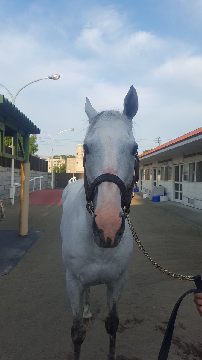 シップ誕生日おめでとう🎂🎂🎂 