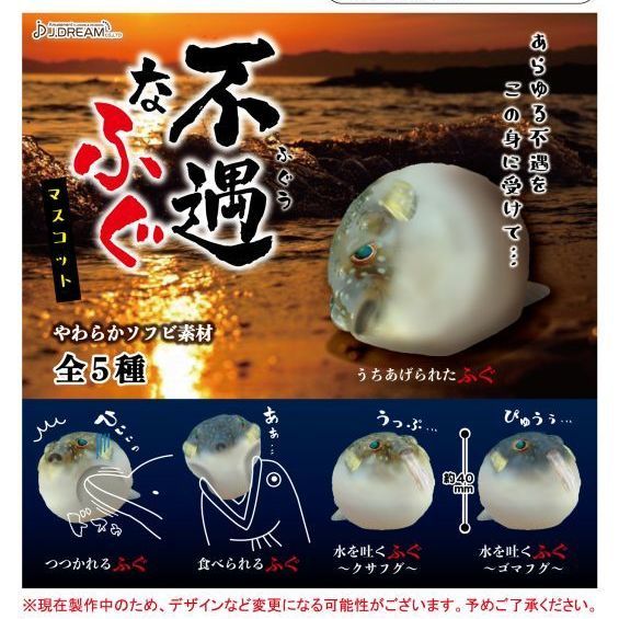 【ガチャ情報】不遇なフグ 200円/8月発売開始 