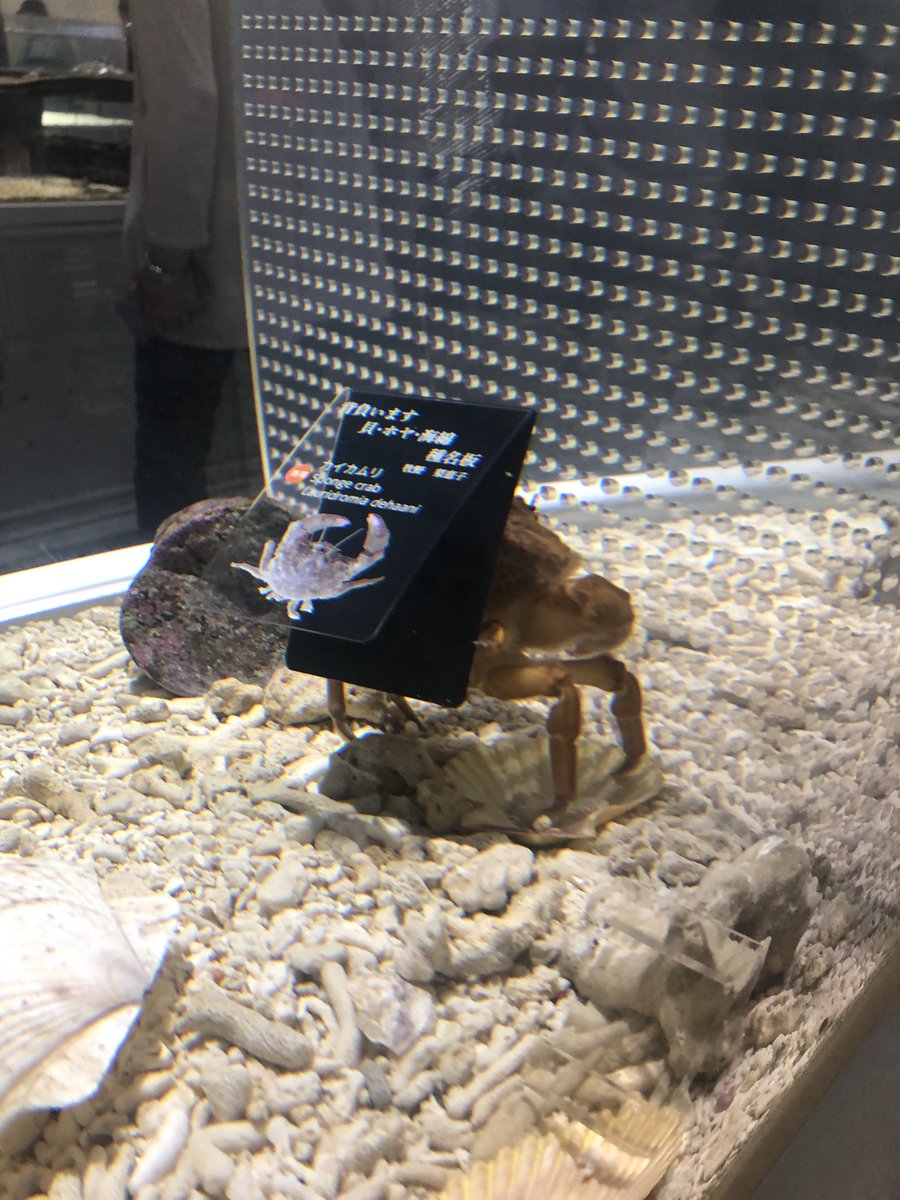 他にも沢山あるのにそれ背負うのはずるくない