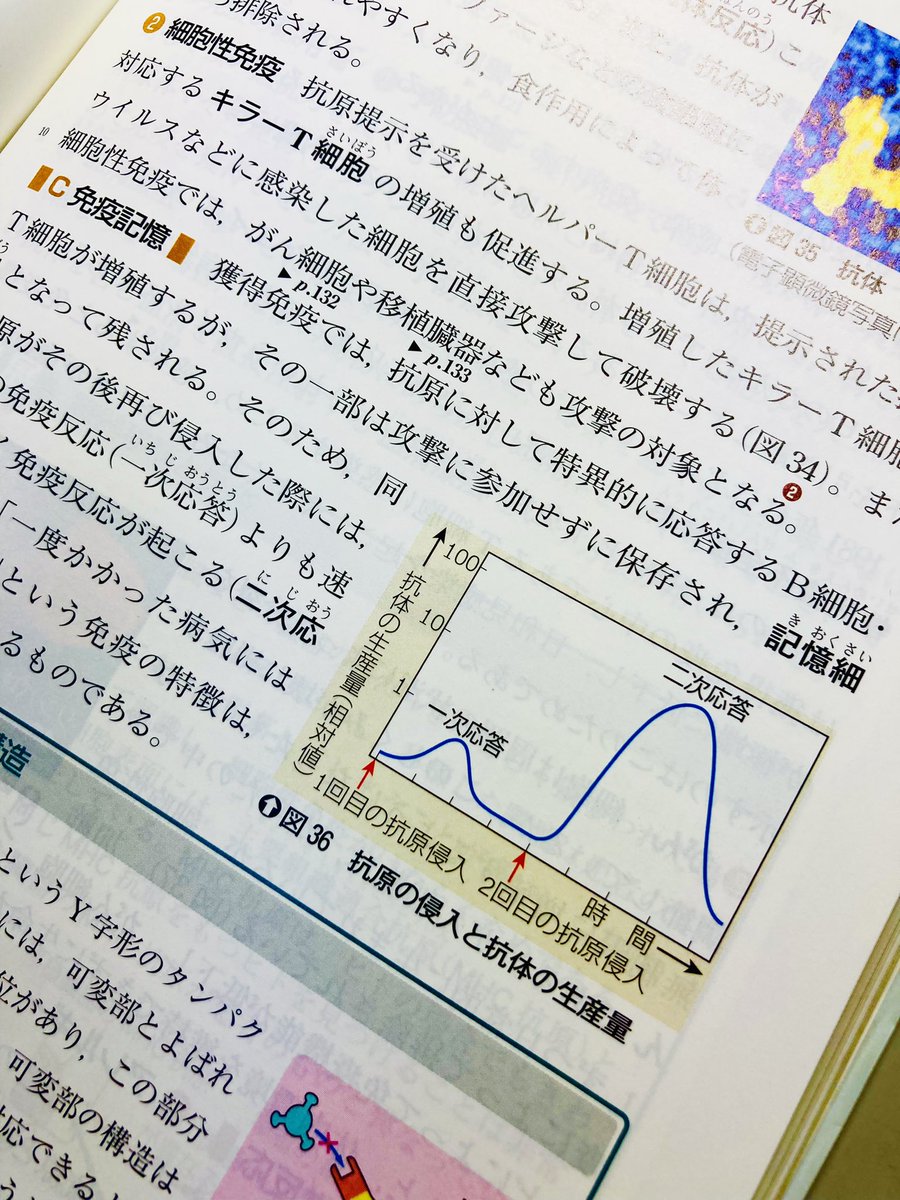 の理由は、生物基礎の免疫単元で習います