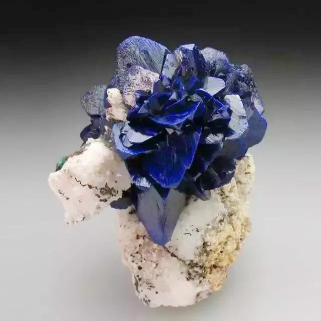 どうやら「咲く」のは花だけでは無いようで。 