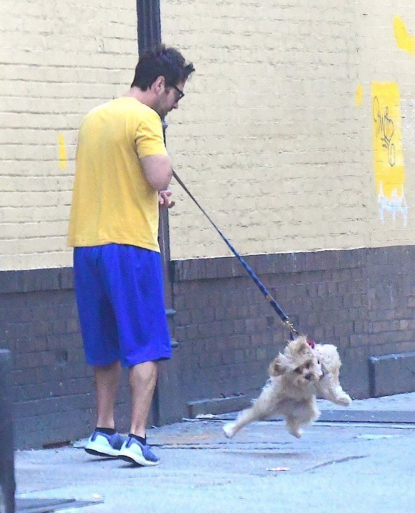 かっこよさしかないトムヒの犬のお散歩と面白さしかないポール・ラッドの犬のお散歩です