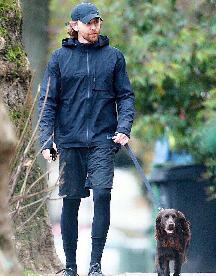 かっこよさしかないトムヒの犬のお散歩と面白さしかないポール・ラッドの犬のお散歩です