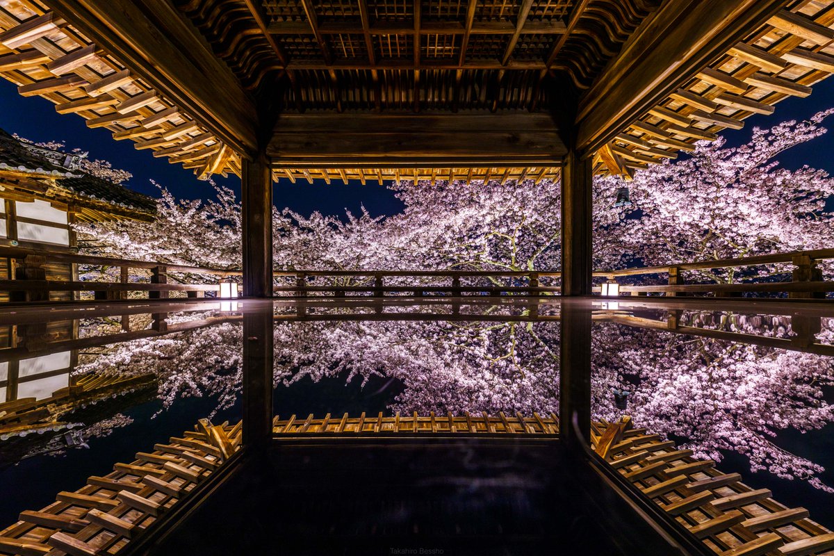 天台寺門宗の総本山三井寺の観月舞台がとんでもないことになってます