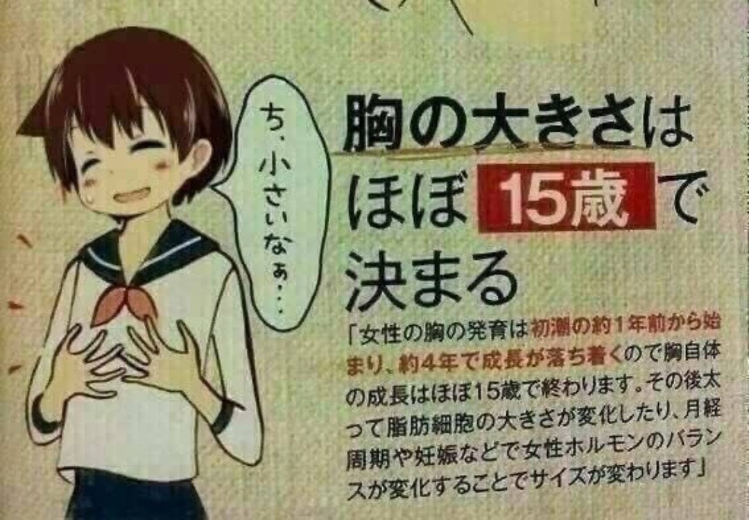 【お知らせ】胸の大きさは15歳で決まる  #拡散希望 