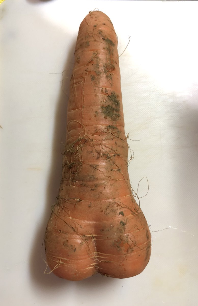 収穫する時ハート型のニンジンだーってテンション上がったけどなんか違う 