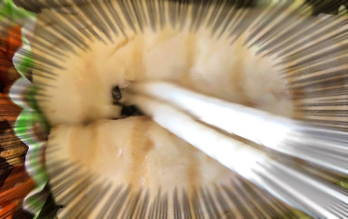 今日の弁当 ノリノリでTwitter映えを狙う姉貴 