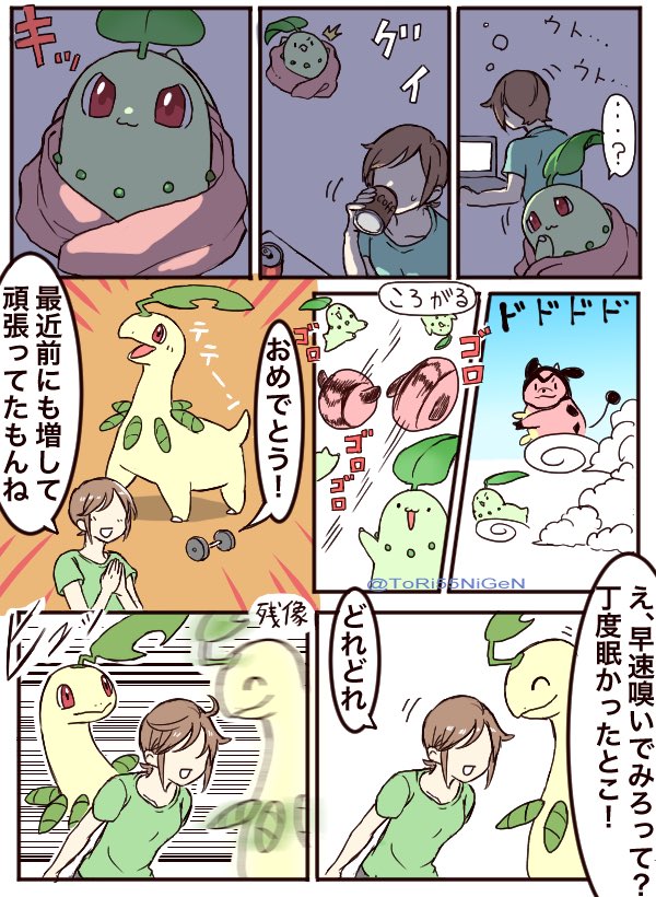 #ポケモンと生活 ぐうたらなチコリータとカフェインを沢山摂る社会人 
