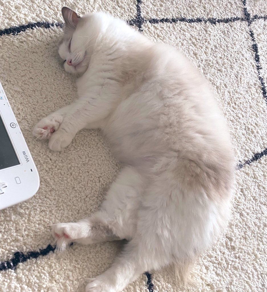 ←夏　冬→ ←Summer  Winter→ 