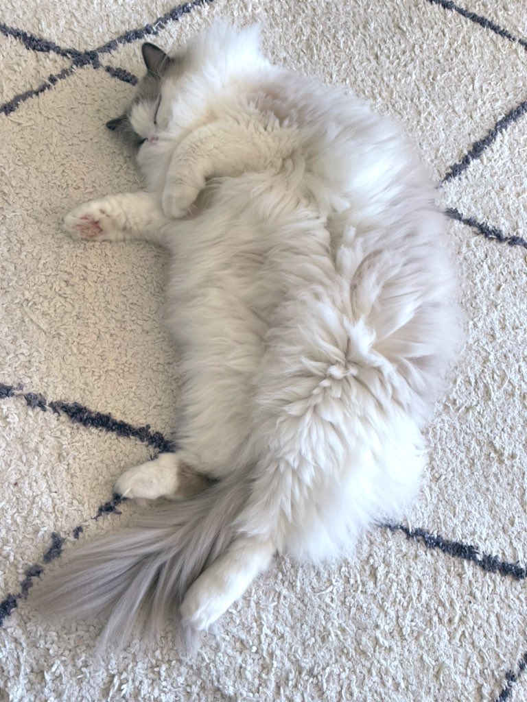 ←夏　冬→ ←Summer  Winter→ 