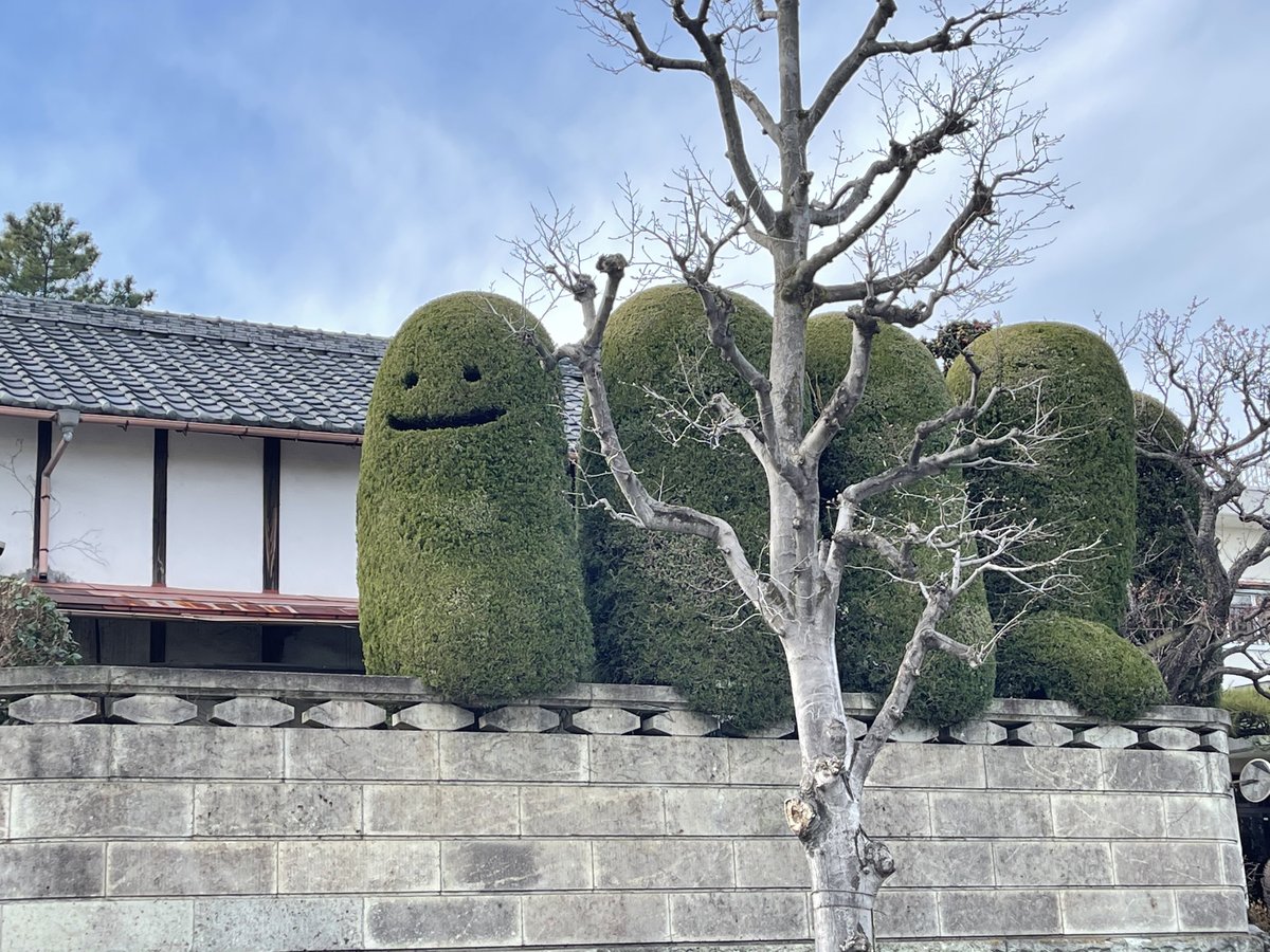 植木職人さんいい仕事するな。 