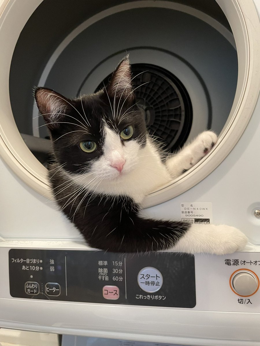 乗ってくかい…？ 