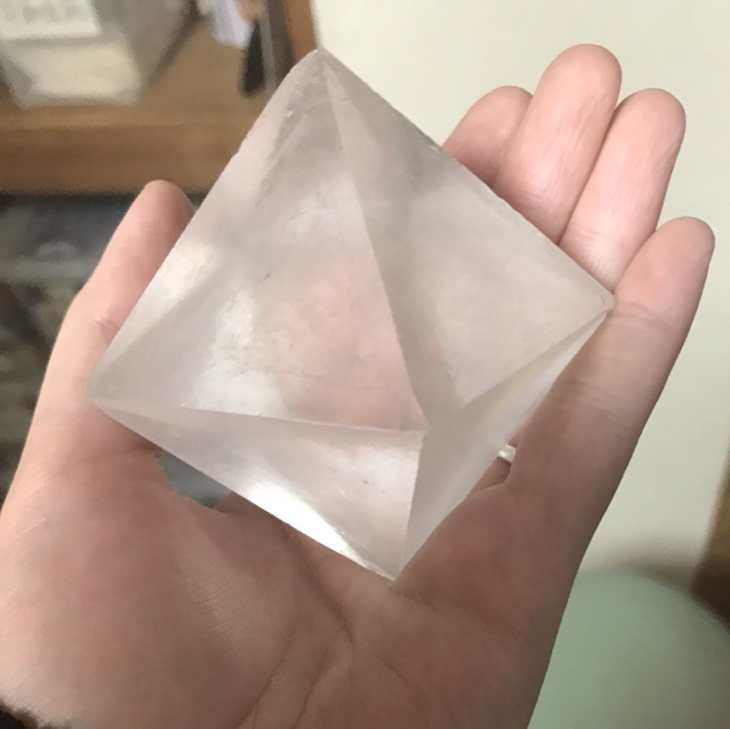  半年掛けてこの大きさになったらしい